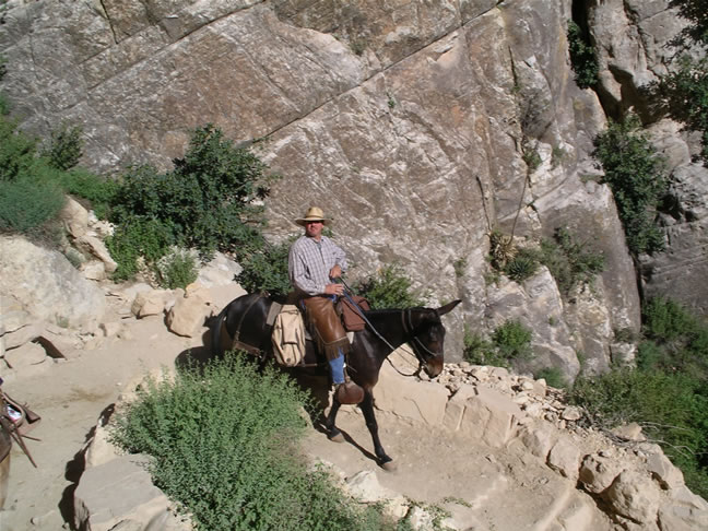 images/B- Mule Ride, riding down in to Grand Canyon (6).jpg